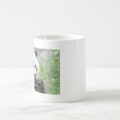 Tasse Foto riesigen Panda. Panda Geant. (Mittel)