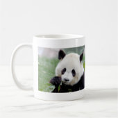 Tasse Foto riesigen Panda. Panda Geant. (Links)