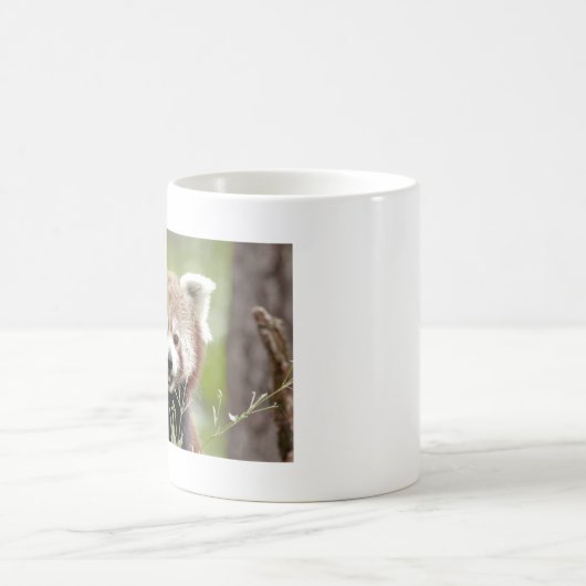 Tasse Foto roter Panda. Panda roux. tiere. (Mittel)