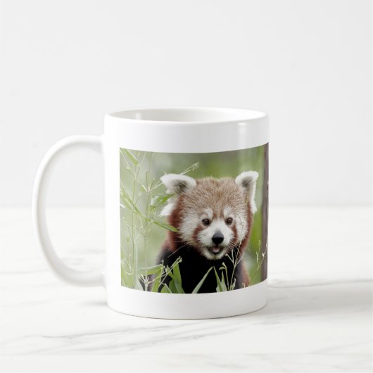 Tasse Foto roter Panda. Panda roux. tiere. (Links)