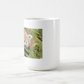 Tasse Foto roter Panda. Panda roux Tiere. (Mittel)