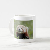 Tasse Foto roter Panda. Panda roux Tiere. (Vorderseite Links)
