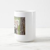 Tasse Foto roter Panda. Panda roux Tiere. (Mittel)