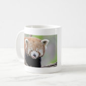 Tasse Foto roter Panda. Panda roux. Tiere. (Vorderseite Links)