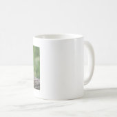 Tasse Foto roter Panda. Panda roux Tiere. (VorderseiteRechts)