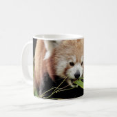 Tasse Foto roter Panda , Tiere . (Vorderseite Links)