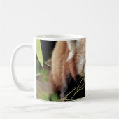 Tasse Foto roter Panda , Tiere . (Links)