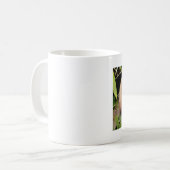 Tasse Foto roter Panda, Tiere 0397. (Vorderseite Links)