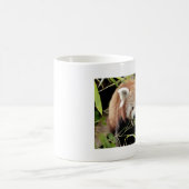 Tasse Foto roter Panda, Tiere 0397. (Mittel)