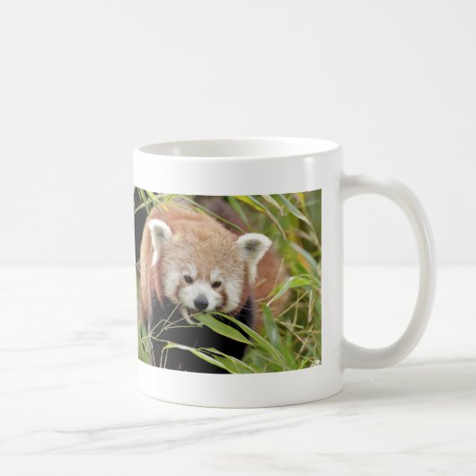 Tasse Foto roter Panda, Tiere 0397. (Rechts)