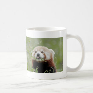 Tasse Foto roter Panda, Tiere 0401.