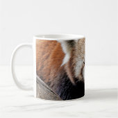 Tasse Foto roter Panda , Tiere . Tasse (Links)