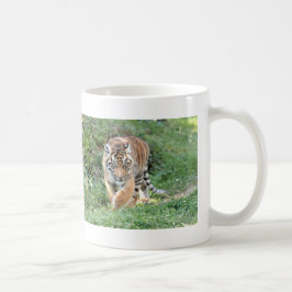 Tasse. Foto Tiger, Katze, Kaffeekatze Tasse