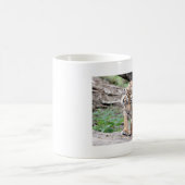 Tasse. Foto Tiger, Katze. Kaffeetasse (Mittel)