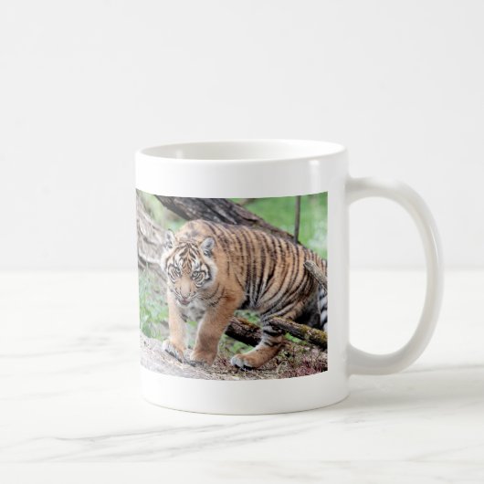 Tasse. Foto Tiger, Katze. Kaffeetasse (Rechts)