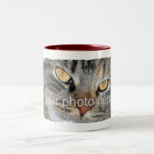 Tasse für Heimtiere mit personalisiertem Foto 2020 (Mittel)