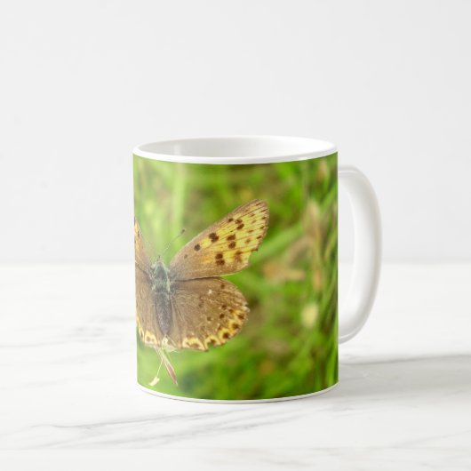 Tasse für lila Kupfer-Schmetterling-Bug (VorderseiteRechts)