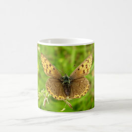 Tasse für lila Kupfer-Schmetterling-Bug