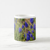 Tasse für Traubenzucker (Mittel)