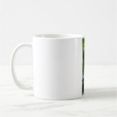 Tasse Gazania (Links)