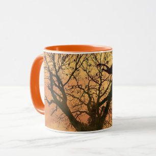 Tasse gefleckter Herbstbaum bei Sonnenuntergang