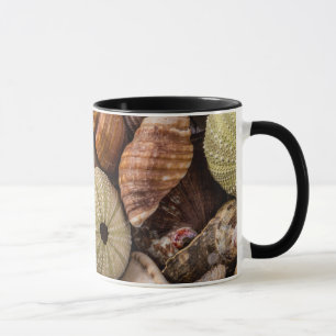 Tasse gemischte Muscheln