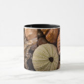 Tasse gemischte Muscheln (Zentrum)