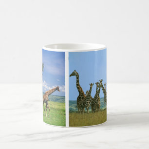 Tasse Giraffen Herde