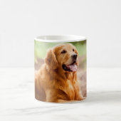Tasse Golden Retriever Liebe - Niedliches Haustier (Mittel)