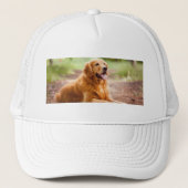 Tasse Golden Retriever Liebe - Niedliches Haustier Truckerkappe (Vorderseite)