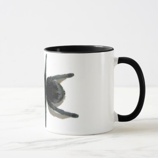 Tasse - Grammostola pulchra (brasilianisches (Rechts)