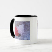 Tasse Hagebutte mit Schneehäufchen (Vorderseite Links)
