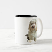 Tasse Havanese Hund (VorderseiteRechts)