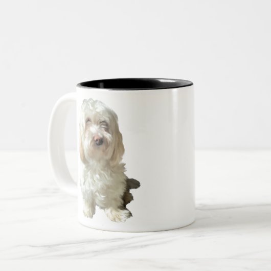 Tasse Havanese Hund (Vorderseite Links)