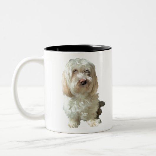 Tasse Havanese Hund (Links)