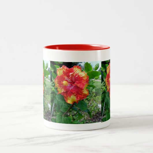 Tasse-Hawaiischer Prize Hibiskus Zweifarbige Tasse (Mittel)