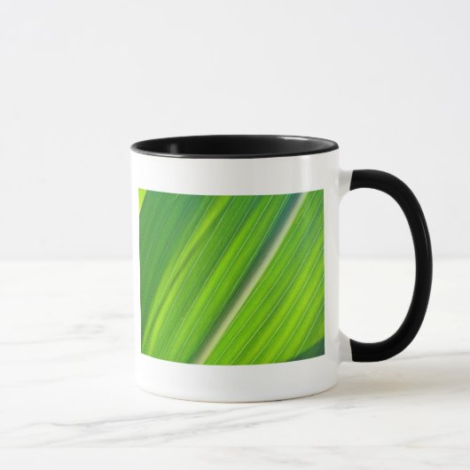 Tasse hellgrünes Maisblattdesign (Rechts)