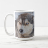 Tasse Husky Blue Eyes (Links)