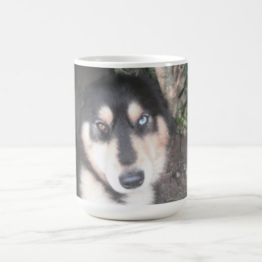 Tasse Husky Ein blaues Auge ein braunes Auge (Mittel)
