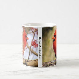 Tasse II des nördlichen Kardinals von BirdingColle
