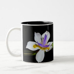 Tasse - Iris-Blume