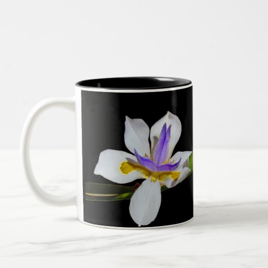 Tasse - Iris-Blume (Links)
