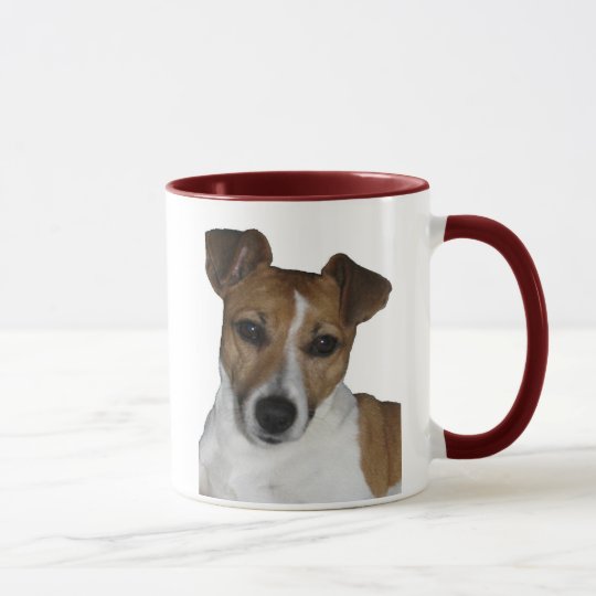 Tasse Jack Russell Terrier