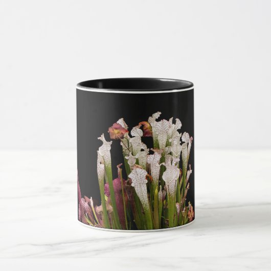 Tasse, Kaffee Tasse (Zentrum)