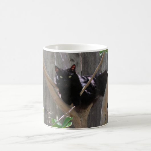 Tasse - Katze in Ästen (Mittel)