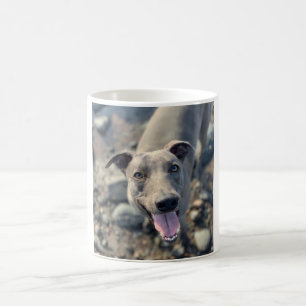 Tasse - Lächelndes blaues Whippet