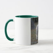 Tasse lagotto-romagnolo (Links)