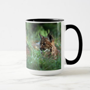 Tasse - Luchs