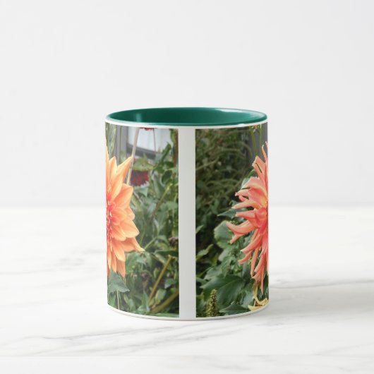 Tasse mit 2 Fotos Orangendahlien (Zentrum)