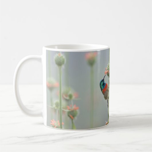 Tasse mit einer Fotografie eines sunbird (Links)